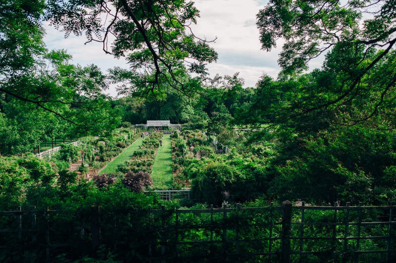 Brooklyn Botanic Garden wedding