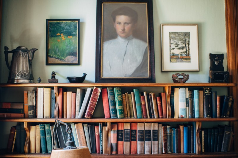 ALLIPETER_002_FatOrangeCat