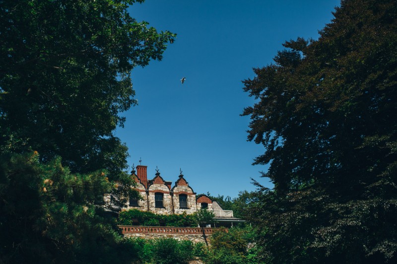 ALLIPETER_012_FatOrangeCat