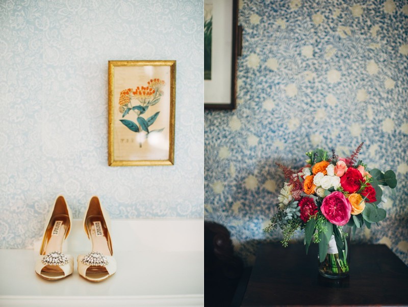 ALLIPETER_021_FatOrangeCat