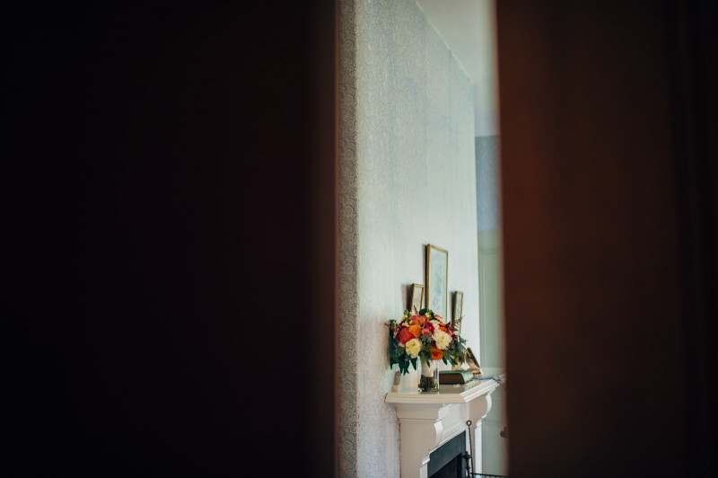 ALLIPETER_043_FatOrangeCat