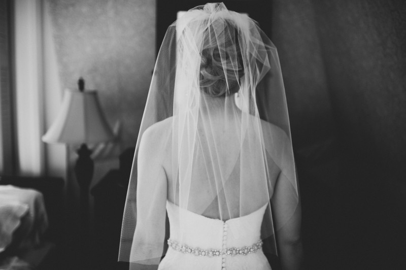 ALLIPETER_098_FatOrangeCat