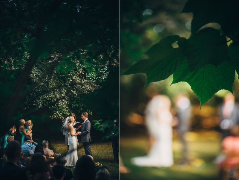 ALLIPETER_188_FatOrangeCat