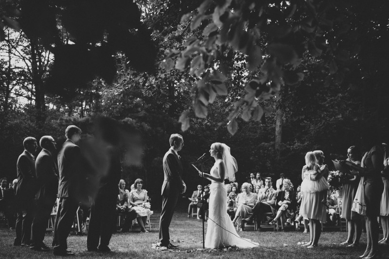 ALLIPETER_199_FatOrangeCat