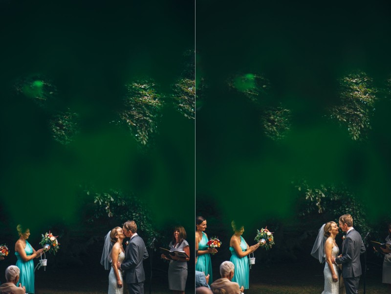 ALLIPETER_214_FatOrangeCat