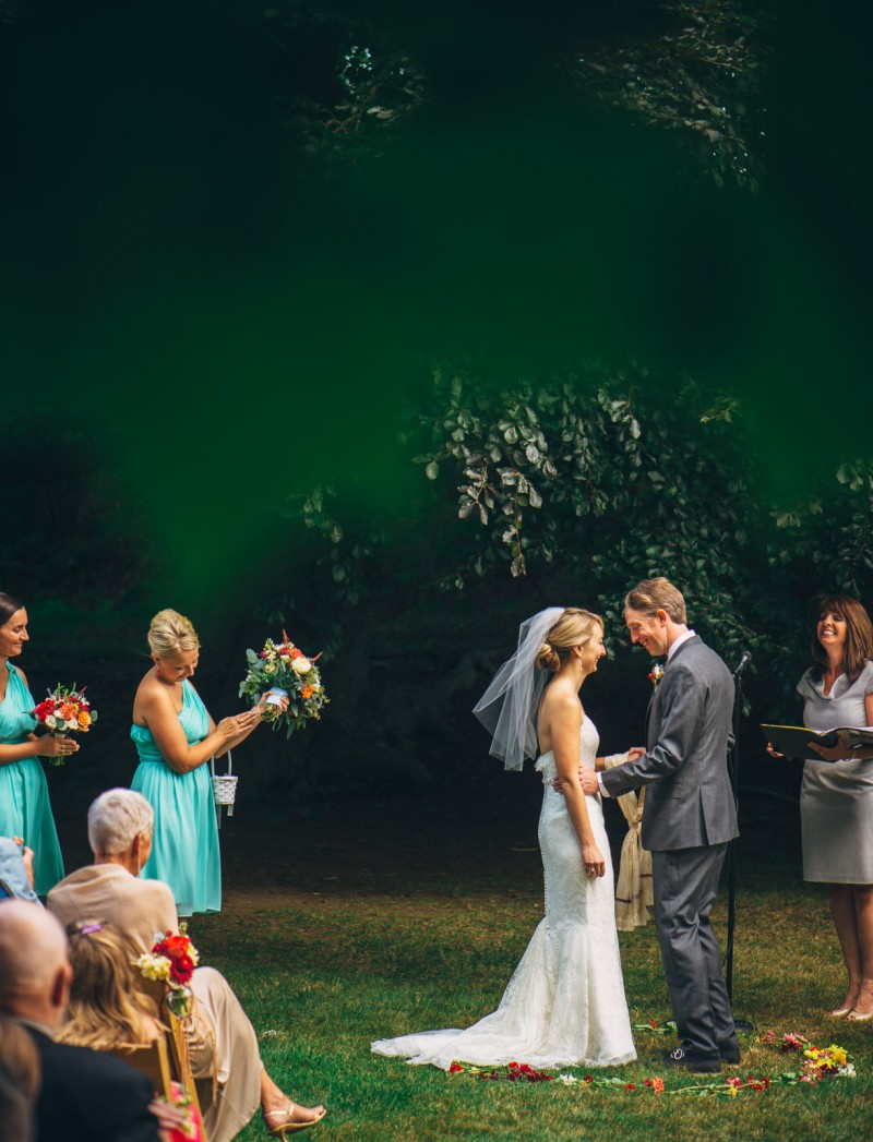 ALLIPETER_217_FatOrangeCat