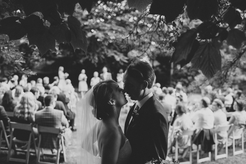 ALLIPETER_220_FatOrangeCat