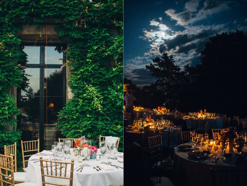 ALLIPETER_305_FatOrangeCat