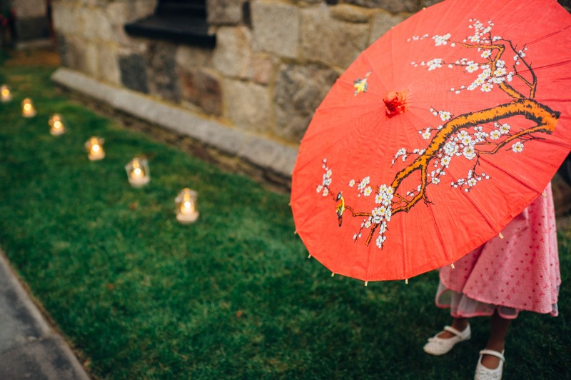 ALLIPETER_424_FatOrangeCat