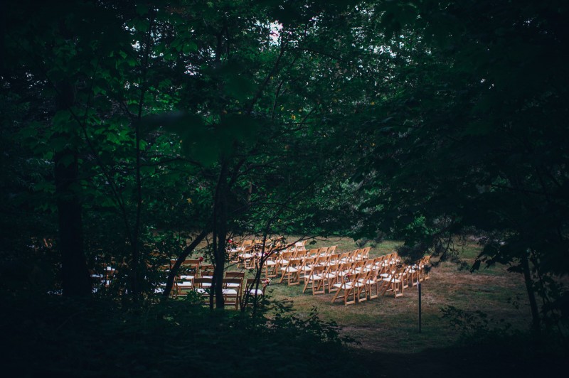 ALLIPETER_426_FatOrangeCat