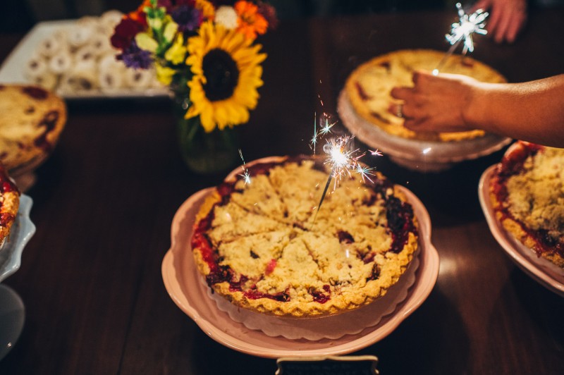 ALLIPETER_480_FatOrangeCat