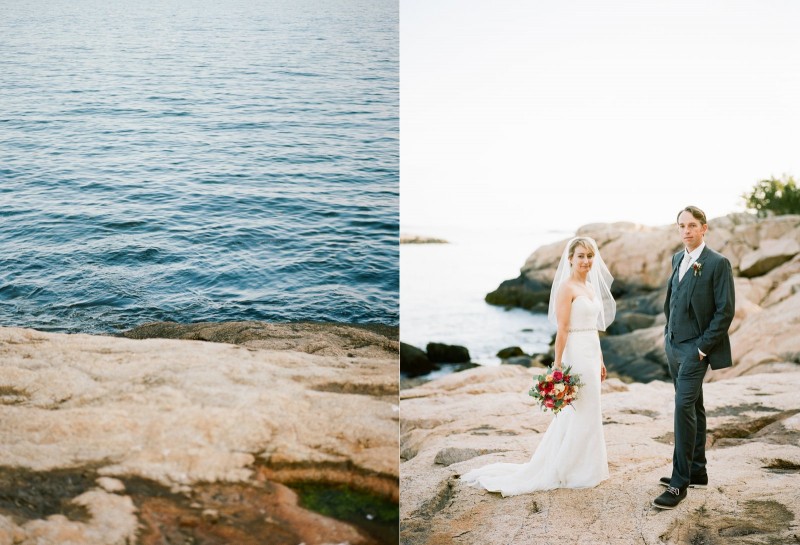 ALLIPETER_681film_FatOrangeCat