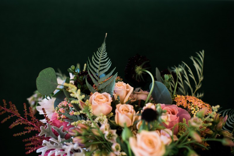 035_MistyJohnWed_fatorangecat