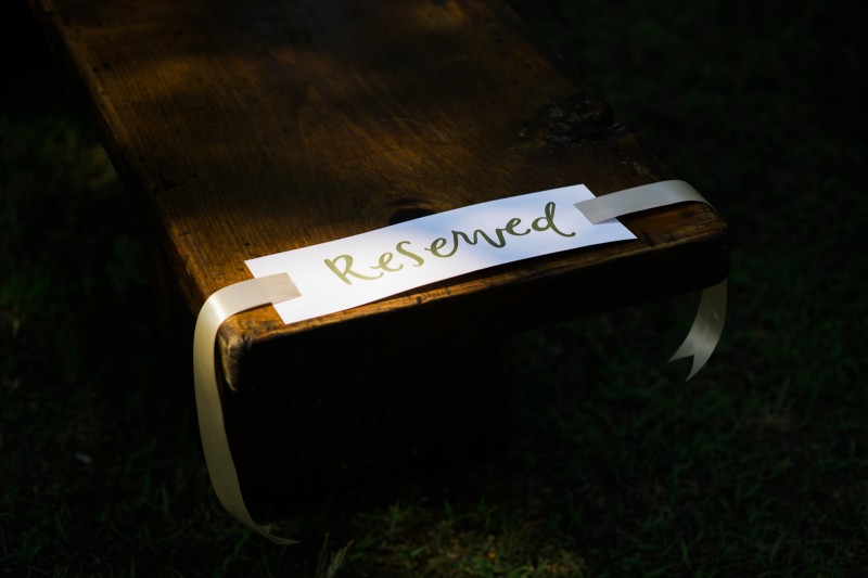 139_MistyJohnWed_fatorangecat